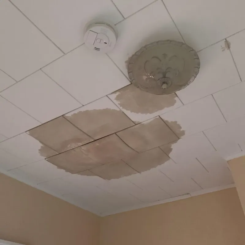Ceiling Water Damage Repair in Parsons, TN