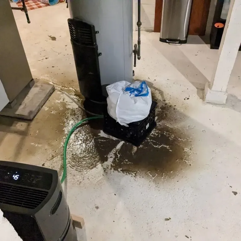 Sewage Backup Cleanup Service in Parsons, TN